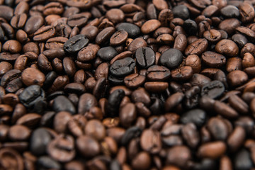 coffee beans. closeup