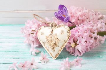 Background  with fresh flowers hyacinths, crocus  and decorative