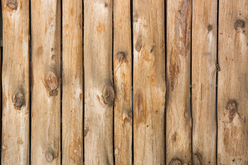 brown wood trunk wall texture and background