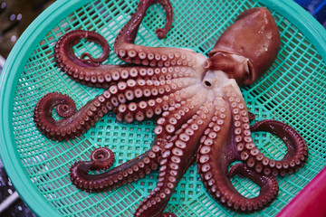 Obraz premium ゆでだこ