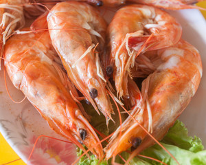 shrimps