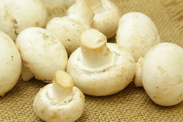 champignons de paris 26122015