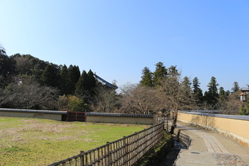 Fototapeta na wymiar 奈良公園