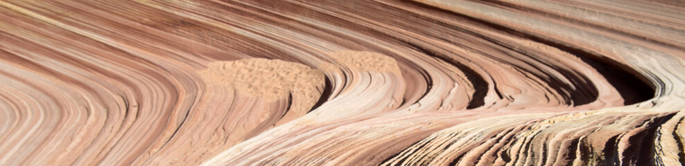 The Wave detail, Paria Canyon, Arizona