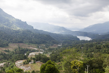 Fototapeta premium Green hills and mountains in the Hill Country around Nuwara Eliya in Central Sri Lanka - Asia
