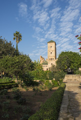 Fototapeta na wymiar Andalusian gardens in Udayas kasbah. Rabat. Morocco.