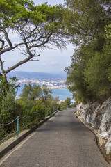 Obraz premium hiking trail in the reserve Alameda along the Rock of Gibraltar in Gibraltar, UK