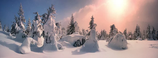 Photo sur Plexiglas Hiver Severe winter landscape