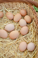 Chicken eggs on a straw bazaar counter