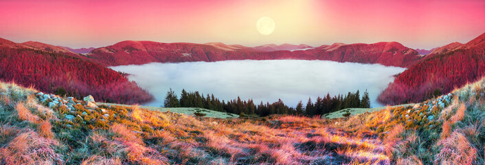 Panele Szklane Podświetlane  Mgła jesienią