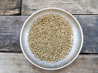 Animal food on wood floor