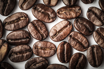Coffee beans on a white background. Toned