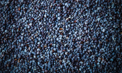 Background of poppy seeds. Space for text. Toned