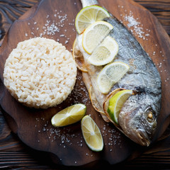Close-up of baked dorado served with brown rice, studio shot