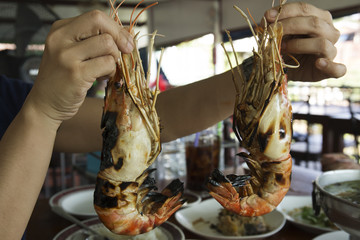 Grilled big shrimps in hand