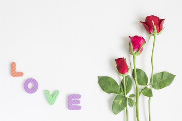 Fototapeta premium Beautiful roses as a symbol of love on Valentine's Day and every other day.