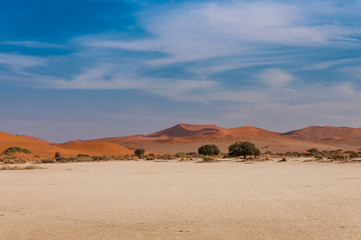 Fototapeta na wymiar Wüstenlandschaft mit Salzsee und roten Dünen; Sossusvlei