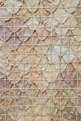 Pattern of a dry leaf wall