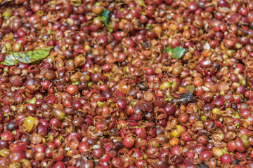 shell of coffee beans