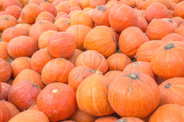 A pile of pumpkins