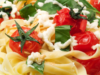 Pasta Collection - Fettucini with tomatoes, basil and mozarella