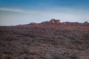 Warm Sunrise Light Falling onto Heathers Hill with Unsual Format