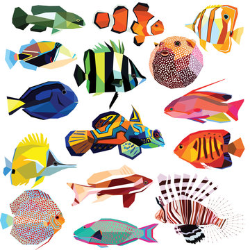 fish-set colorful fish low poly design isolated on white background.Clownfish,Angelfish,Forcipiger,Coralfish,Blowfish,Lionfish,Butterflyfish,Anthias,Tilapia,Mandarinfish,Parrotfish,Triggerfish,Tang,