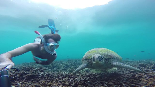 apn&eacute;e sous marine avec tortue