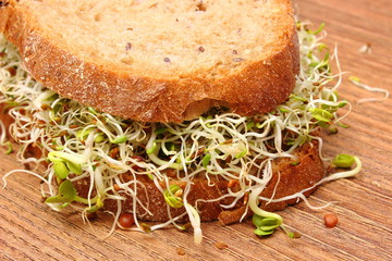 Wholemeal bread with alfalfa and radish sprouts