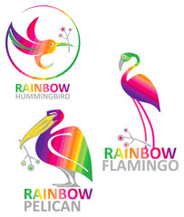 Rainbow birds - vector design templates.