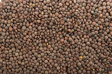 Pardina lentils