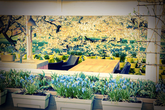 Cafe terrace in blooming garden