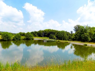 Obraz na płótnie Canvas Pond in nature