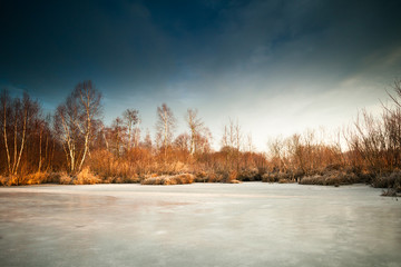 Scenic Winter Landscape with Frozen Lake Surrounded with Birch and oak Trees