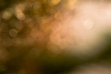 Obraz premium naturalny efekt bokeh