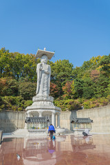 Obraz premium Bongeunsa temple in seoul city at Korea
