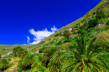 Fototapeta premium Village and Building in Mountains