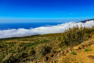 Fototapeta na wymiar Landscape on Tenerife Island in Spain
