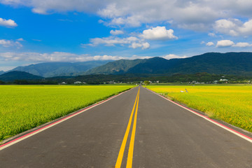 山與稻田,台東,台灣,公路