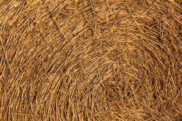 Close-up view of bale of hay