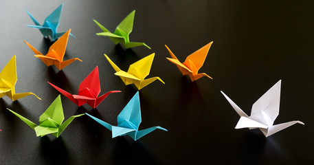 origami birds - obrazy, fototapety, plakaty