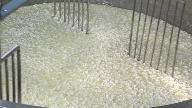 Gouda cheese making from raw milk
