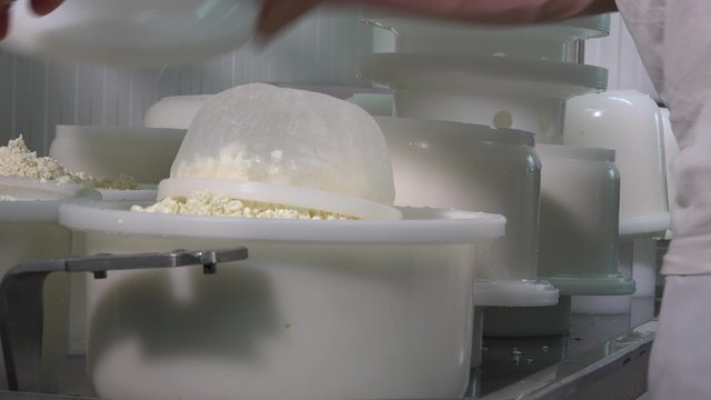 Gouda cheese making from raw milk
