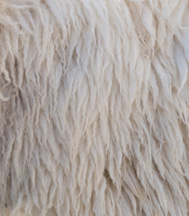 wool texture