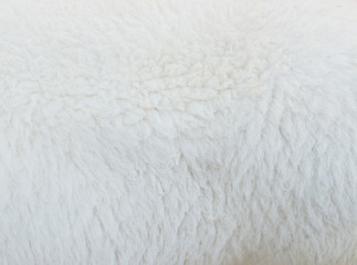 Fototapeta na wymiar wool texture