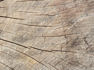 wood texture background
