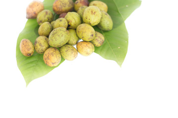 Chebulic Myrobalans,Thai herb