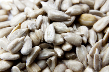 Sunflower Seeds on a Bright Background Viewed Up Close