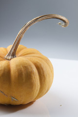 Close up View of Ornamental Gourd