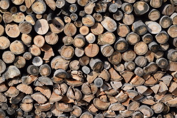 積まれた たきぎ／山形県の庄内地方で、薪ストーブ用の燃料に使用する為に積まれた たきぎを撮影した写真です。